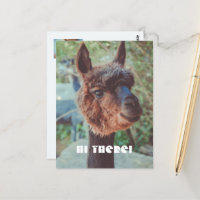 Portret van een bruine alpaca
