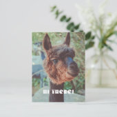 Portret van een bruine alpaca briefkaart (Staand voorkant)