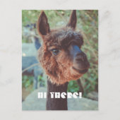 Portret van een bruine alpaca briefkaart (Voorkant)