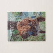 Portret van een bruine alpaca legpuzzel (Horizontaal)