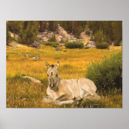 Portret van een buckskin veulen poster