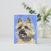 Portret van een Caïro Briefkaart (Staand voorkant)