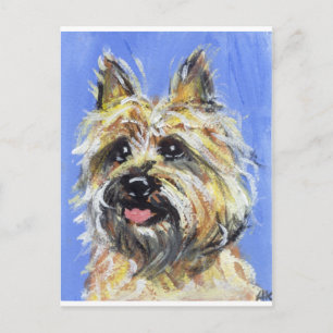 Portret van een Caïro Briefkaart