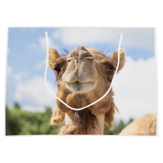Portret van een Camel Groot Cadeauzakje (Voorkant)