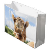Portret van een Camel Groot Cadeauzakje (Voorkant Gekanteld)
