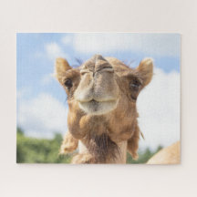 Portret van een Camel