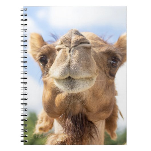 Portret van een Camel Notitieboek (Voorkant)