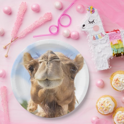 Portret van een Camel Papieren Bordje (Feest)