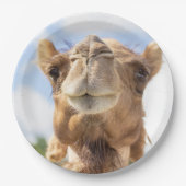 Portret van een Camel Papieren Bordje (Voorkant)