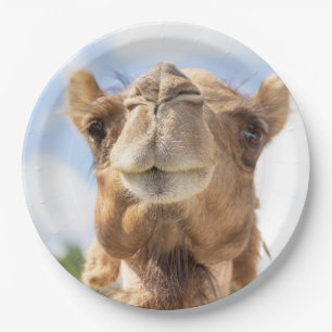 Portret van een Camel Papieren Bordje