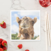 Portret van een Camel Servet (Insitu)