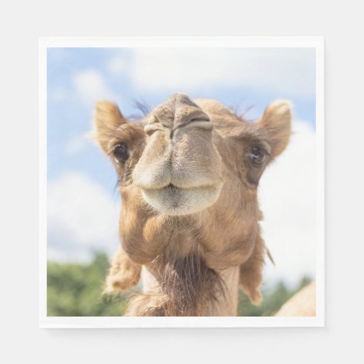 Portret van een Camel Servet (Voorkant)