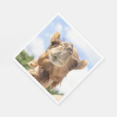 Portret van een Camel Servet (Hoek)