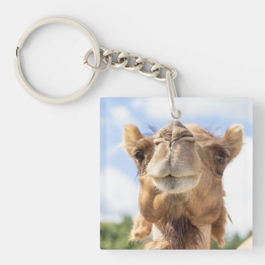 Portret van een Camel Sleutelhanger (Voorkant)