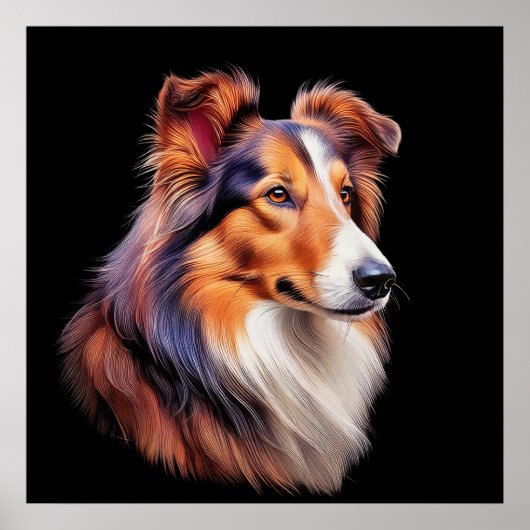 Portret van een collie poster (Voorkant)