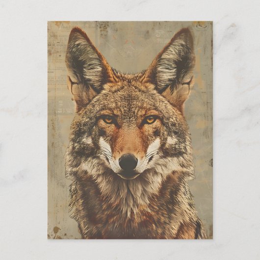  portret van een coyote briefkaart (Voorkant)