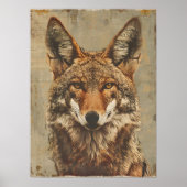  portret van een coyote poster (Voorkant)
