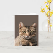 Portret van een crèmetablet met oogcontact kaart (Gele Bloem)