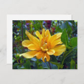 Portret van een Dahlia Briefkaart (Voorkant / Achterkant)