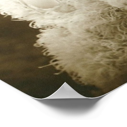 Portret van een danseres Poster (Hoek)