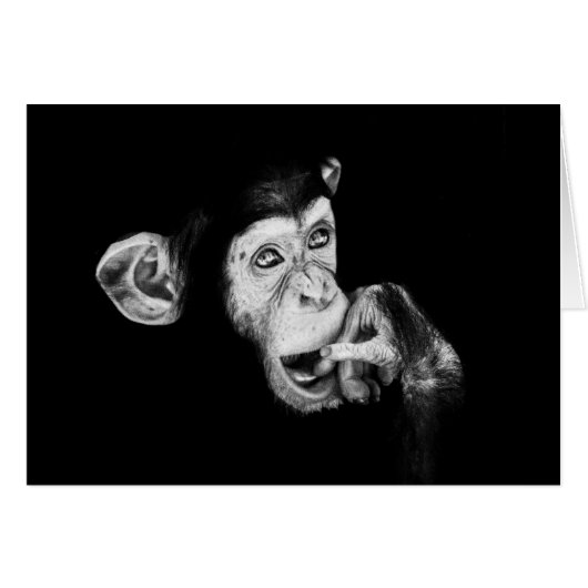 Portret van een denker Chimpansee (Voorkant Horizontaal)