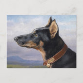Portret van een Doberman | Carl Reichert Briefkaart (Voorkant)