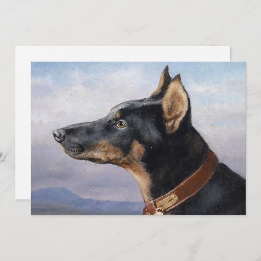 Portret van een Dobermann | Carl Reichert (Voorkant / Achterkant)