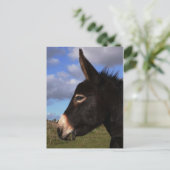Portret van een Donkey Briefkaart (Staand voorkant)