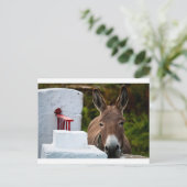 Portret van een Donkey in Ierland Briefkaart (Staand voorkant)