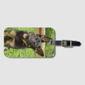 Portret van een Duitse herder Bagagelabel (Voorkant (horizontaal))