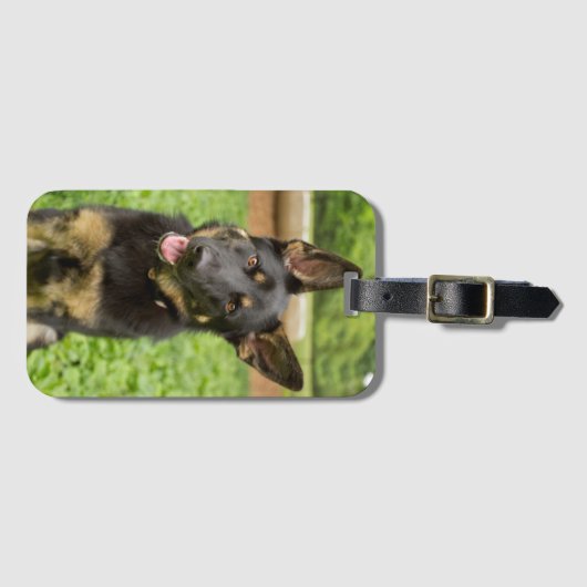 Portret van een Duitse herder Bagagelabel (Voorkant (horizontaal))