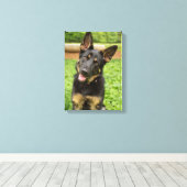 Portret van een Duitse herder Canvas Afdruk (Insitu (Houten vloer))