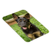 Portret van een Duitse herder Magneet (Rechterzijde)