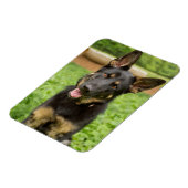 Portret van een Duitse herder Magneet (Linkerzijde)