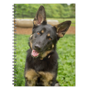 Portret van een Duitse herder Notitieboek