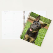 Portret van een Duitse herder Planner (Display)