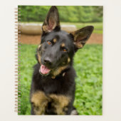 Portret van een Duitse herder Planner (Voorkant)