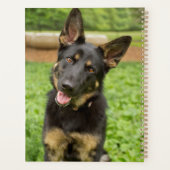 Portret van een Duitse herder Planner (Achterkant)