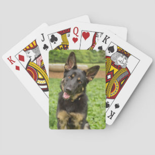 Portret van een Duitse herder Pokerkaarten