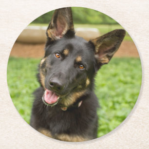 Portret van een Duitse herder Ronde Kartonnen Onderzetter