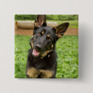 Portret van een Duitse herder Vierkante Button 5,1 Cm
