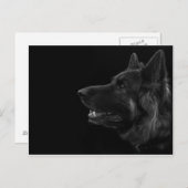 Portret van een duitse herderhond briefkaart (Voorkant / Achterkant)