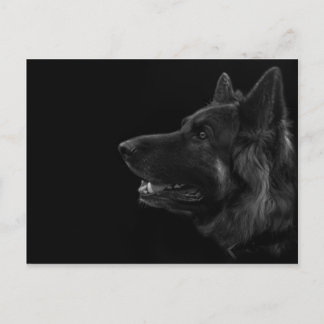 Portret van een duitse herderhond briefkaart