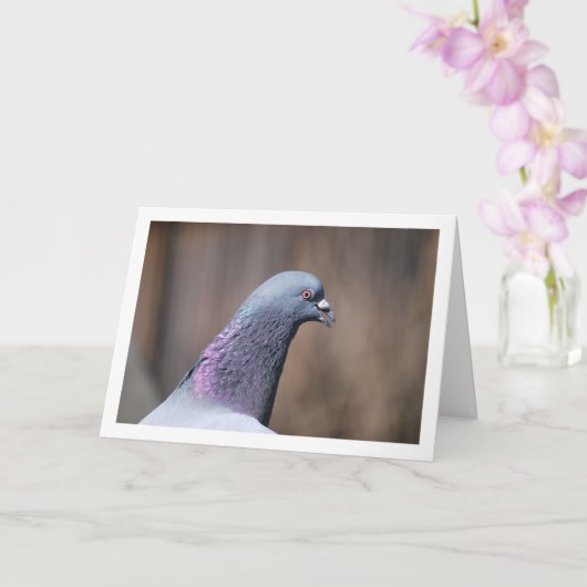 Portret van een duivenkop kaart (Orchidee)