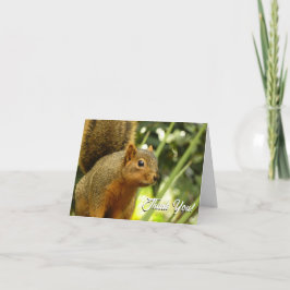 Portret van een eekhoorn Natuur Dierenfotografie Bedankkaart