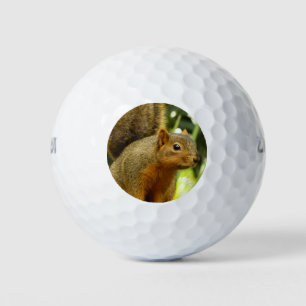 Portret van een eekhoorn Natuur Dierenfotografie Golfballen