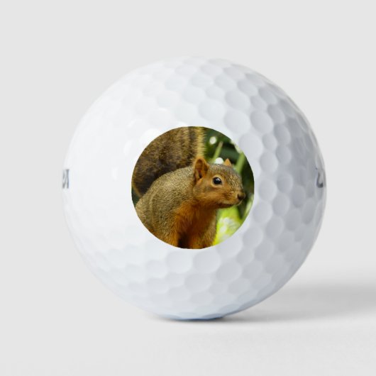 Portret van een eekhoorn Natuur Dierenfotografie Golfballen (Voorkant)