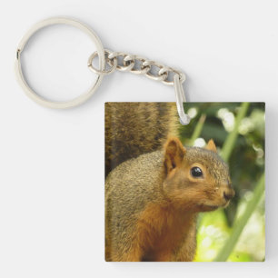 Portret van een eekhoorn Natuur Dierenfotografie Sleutelhanger