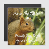 Portret van een eekhoorn Natuur Dierfotografie (Voorkant / Achterkant)