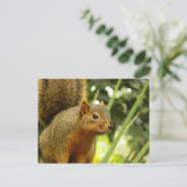 Portret van een eekhoorn Natuur Dierfotografie Briefkaart (Staand voorkant)